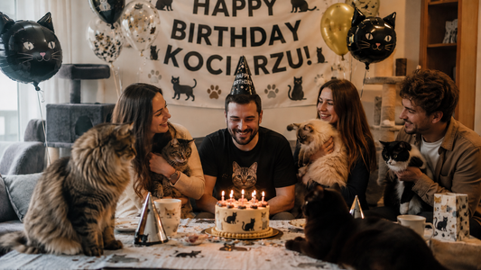 Jak zorganizować urodziny dla kociarza? Pomysły, dekoracje i personalizowane dodatki